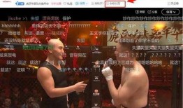 爆料功夫视频完整版下载,一窥武术传奇背后的精彩瞬间